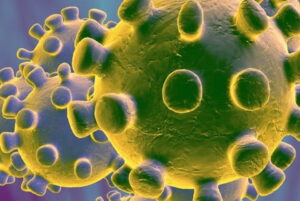 GCF-image-to-represent-Coronavirus-